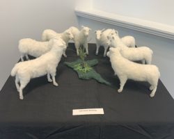 felted sheep