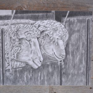 Shearing Day
Charcoal on paper
11 x 14 inches