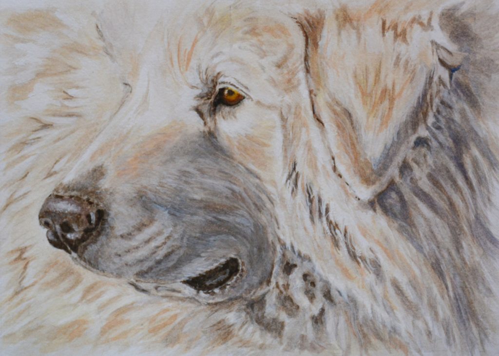 painting of white dog