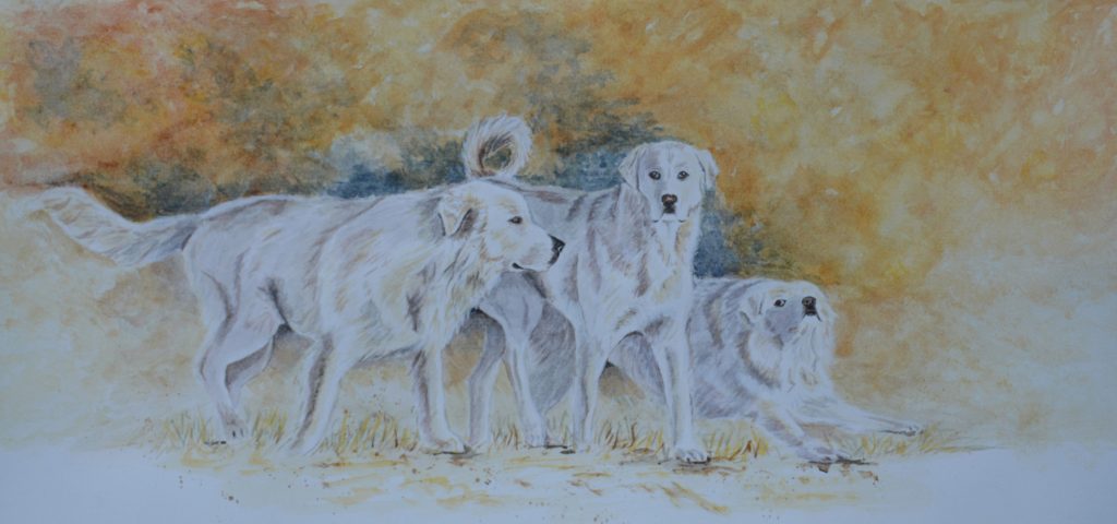 trio of white dogs watercolor artwork