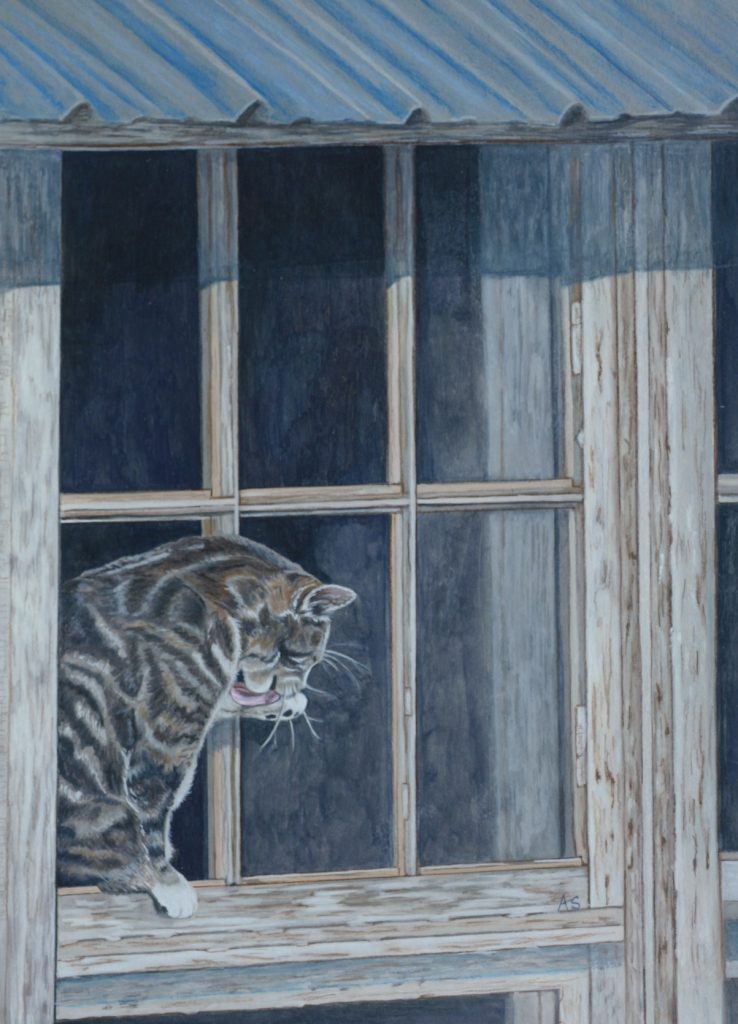 watercolor and gouache artwork by arlette seib of cat in window