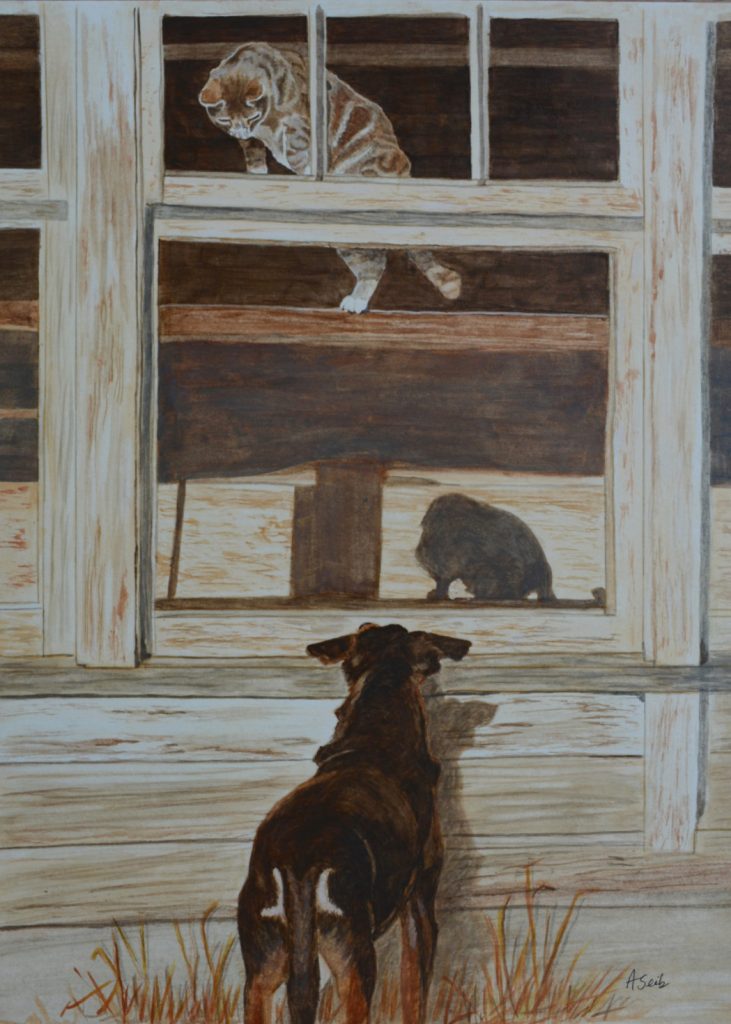 watercolor and gouache artwork by arlette seib, cat looking down on dog