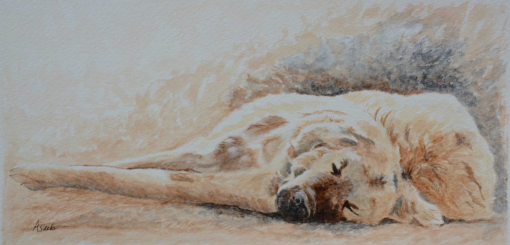 watercolor artwork by arlette seib, dog asleep