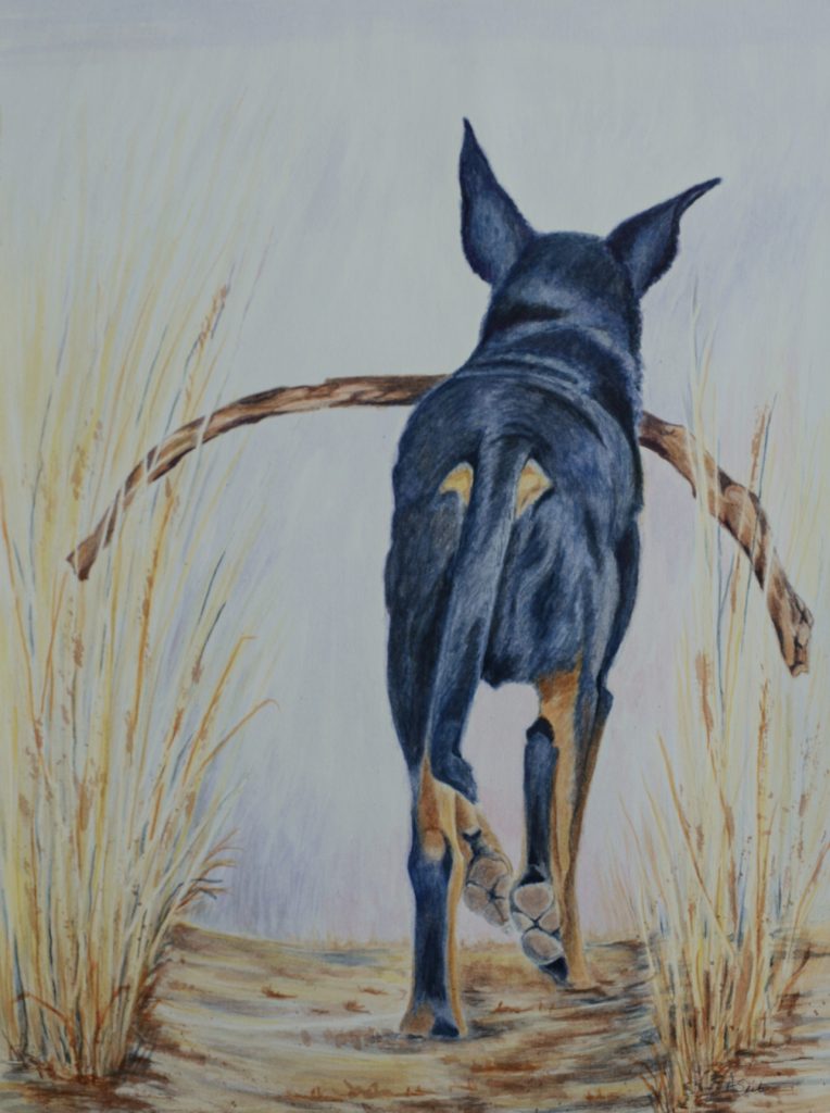 watercolor artwork of dog carrying stick by arlette seib